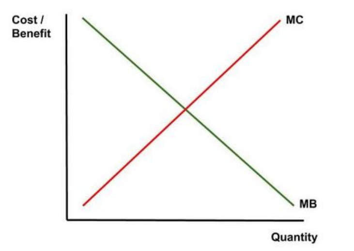 Information, behavior, and frictions (short course on economics)